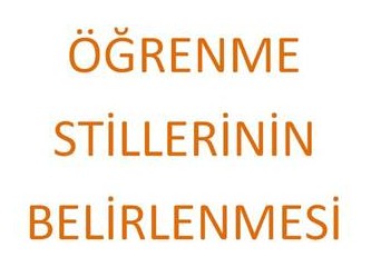 Öğrenme stillerinin belirlenmesi