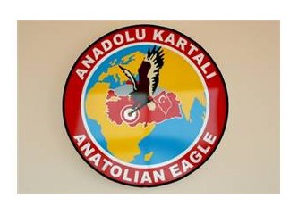 Semalarda ışık saçan bir yıldız; Anadolu Kartalı