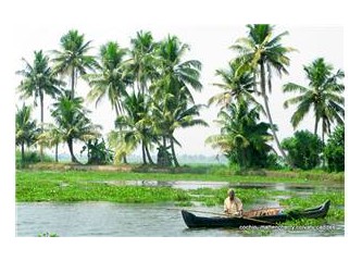 Hindistan ( Kerala ) gezi notları