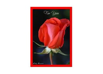 Aşkınızı yaşarken yalnız kalmak