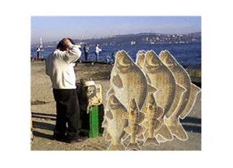 Boğaz'da sazan avcıları!
