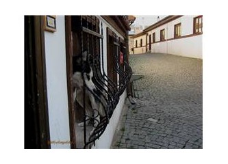 İnanmam artık sana