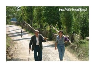 Otlar ve tırpan