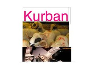 Kurban