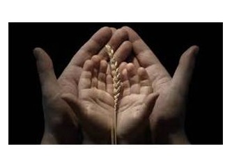 Tevazu - Kibir