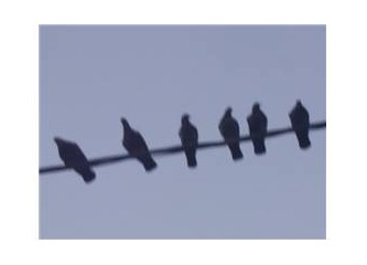 Aklından çıkarma. . . !