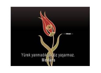 Aşk kokanlar...