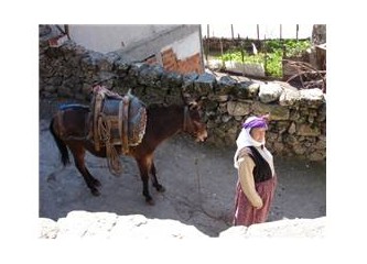 Didimli Doğa Yürüyüşçüleri Milas- Ketendere, Ekiztaş, Kızılağaç köylerindeydi..
