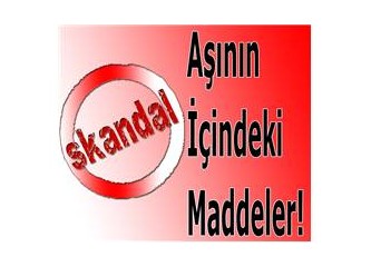 Domuz gribi aşısının içindeki maddeler!