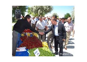 Dağıtım Birimi