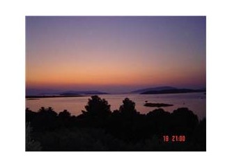 ''B kan grubu'' / kan grubuna göre beslenme (IV)...