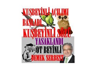 Kuş beyinli, söyleminde bulunmakla, kuşlara hakaret hakkına sahip miyiz..?