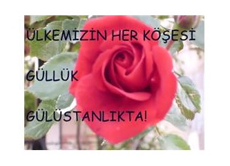 Anlamıyorum ki?