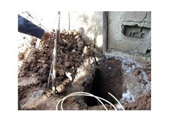 “Kumraldı, gözleri ve teni buğday rengiydi. Elmacık kemikleri çıkıktı, çenesi sivri. Burnu kibardı.