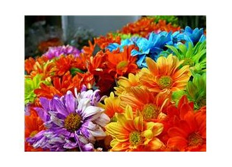 Bayramlar güzeldir ama bu vahşet olmasa
