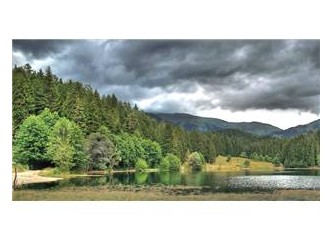 Artvin