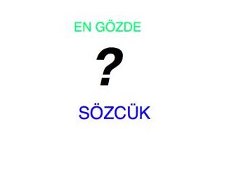 Blogcu’nun gözde sözcüğü ne olmalı?