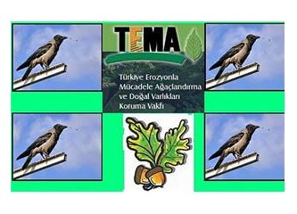 TEMA Vakfı, meşe palamudu ve kargalar ...
