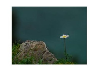 Sol ve solculuk üzerine...