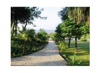 Bir Tatil, Birçok Hayat