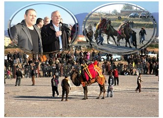Burhaniye’de pehlivan develere havut hayrı yapıldı