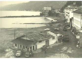 Doğu Karadeniz bölgesinde alternatif ürün yetiştiriciliği (1)