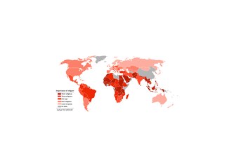 Dünyadaki çeşitli ülkelerin dindarlık durumu