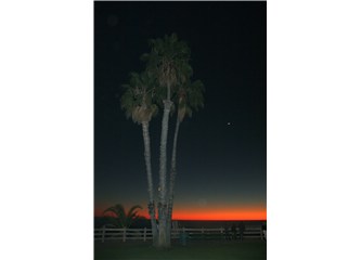 Melekler Şehri, Los Angeles