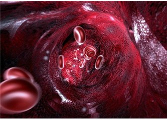 Kanımız kırmızı iken damarlarımız neden mavi görünür?