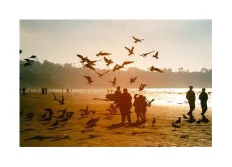 Bir çift güvercin havalansa, yanık yanık koksa karanfil…