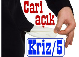 Ekonomik kriz kapıda/ 5 (Sevsinler sizin kriz anlayışınızı)