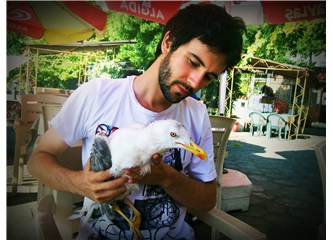 Bakımevi günümüzden bana kalan sakat martı