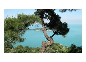 Büyükada insan ömrünü nasıl uzatıyor?