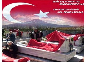 Ey benim Şahin'im