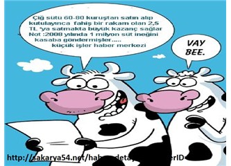 Çiğ Sütün Fiyatı ne olmalı-Eylül 2012