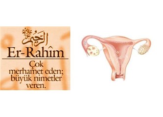 Rahim, neden hem Allah'ın hemde kadın cinsel organının ismidir?