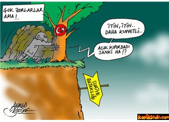 O ‘bomba’yı Akçakale’ye kim attı, niçin attı, çapı ne?