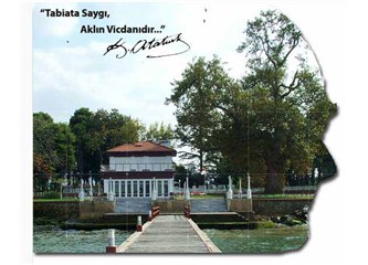 Yürüyen köşkün öyküsü....