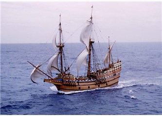 Mayıs Çiçeği ( Mayflower )