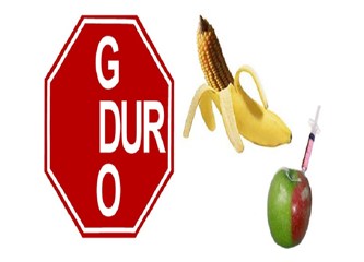 Eskişehir’de Gdo tartışılacak