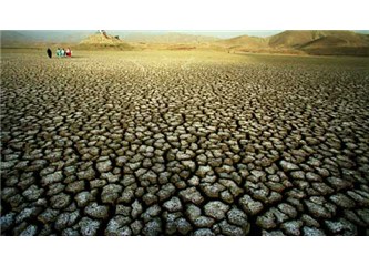 2050 de Dünyaya gelmiş herkesten özür diliyorum