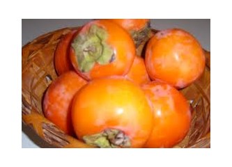 Şifa kaynağı; cennet hurması