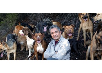Cesar Millan, köpek terbiyecisi