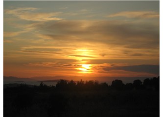 Gözü kör dünya