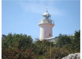 Kasırga Kızı