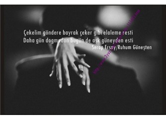 Aşk güneyden esti