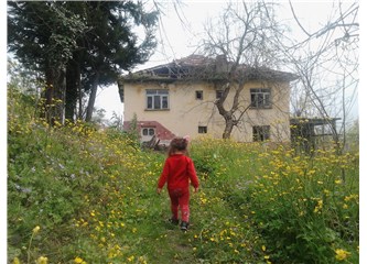 Akvaryumdaki Balık Misali