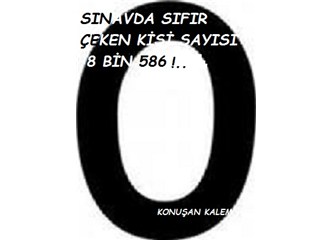 Becerikli sıfırcılar