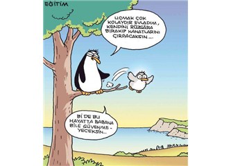 Penis veya balanopostitin başındaki kırmızı lekeler 38