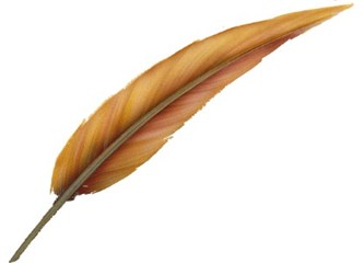 Yazdığım Cümleler